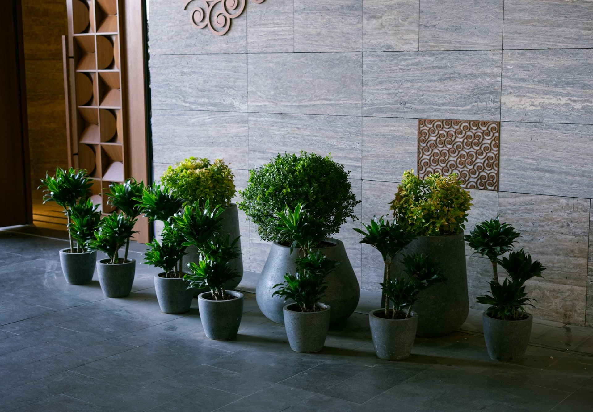 LEAFO fiber planters and greenery in a serene showroom with stone walls and floor